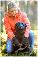 Фото: Скоттиш страйт (шотландская прямоухая) : Харизматичная, трогательная собачка Хельга в дар