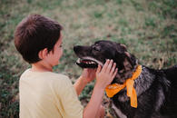 Фото: Самоед : Ласковая собака в добрые руки